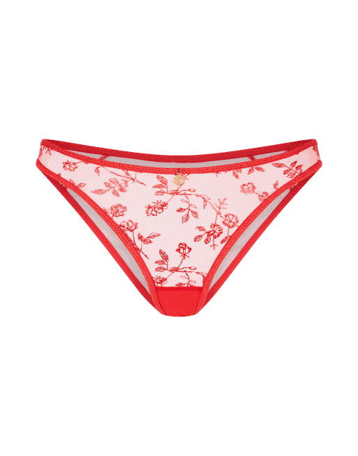 Buy Red Lace High Leg Knickers 10, Knickers