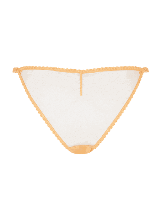 Treatly Underwear Subscription Brands  Rosy Lingerie, Heidi Klum  Intimates, Pleasure state, Pour Moi, Fayreform, Loveable, Shell Belle  Couture, Evollove, Fredericks of Hollywood, India Loves, Contradiction,  Sirens, Charnos, Lepel, Bendon, Me. By