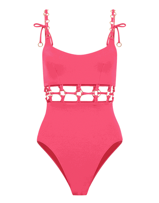 SwimsuitBodysuit in Money Print and Hot Pink Color Block – Amy Page  DeBlasio