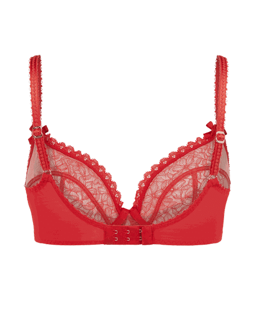 Red Lace Victoria's Secret Bras