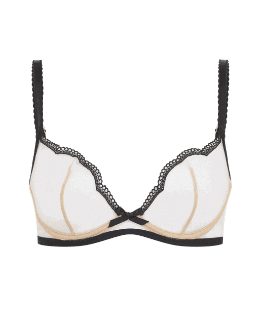 Push Up Bras – Sheer Outlet