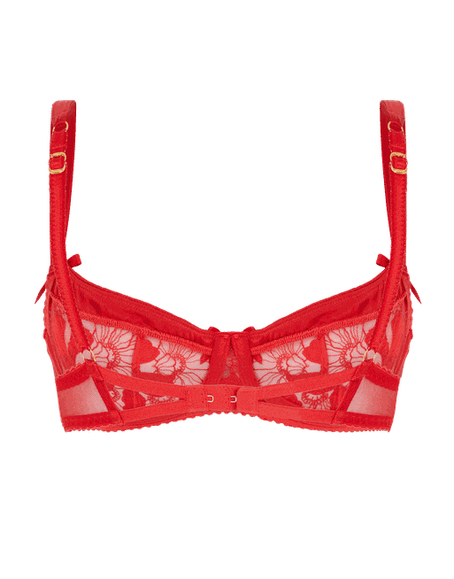 Agent Provocateur, Intimates & Sleepwear, Nwt Agent Provocateur Kendall  Red Lace Halter Neck Bra