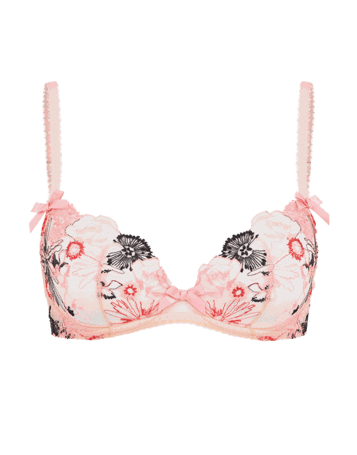Buy Agent Provocateur Zuri Embroidered Plunge Underwire Bra - Pink Red Sand  At 25% Off
